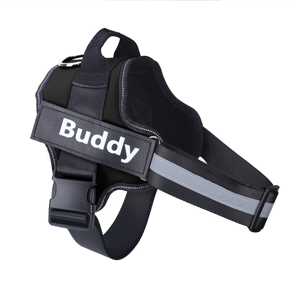 SafeWalk™ – Bezpečný postroj pro psy