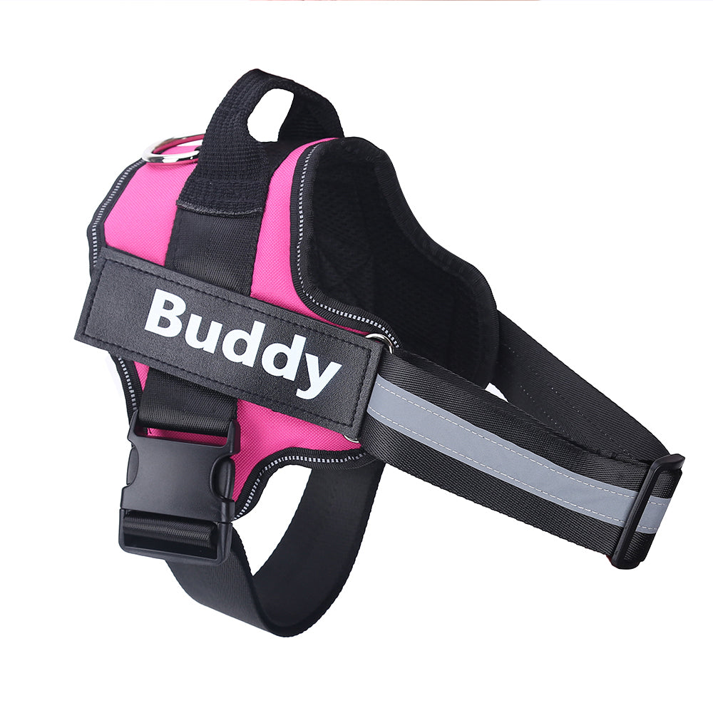 SafeWalk™ – Bezpečný postroj pro psy