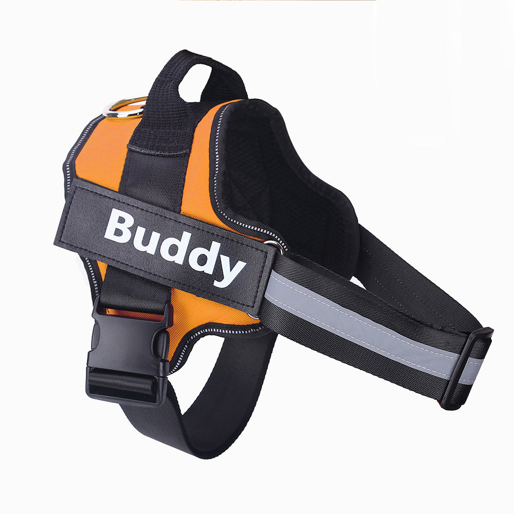 SafeWalk™ – Bezpečný postroj pro psy