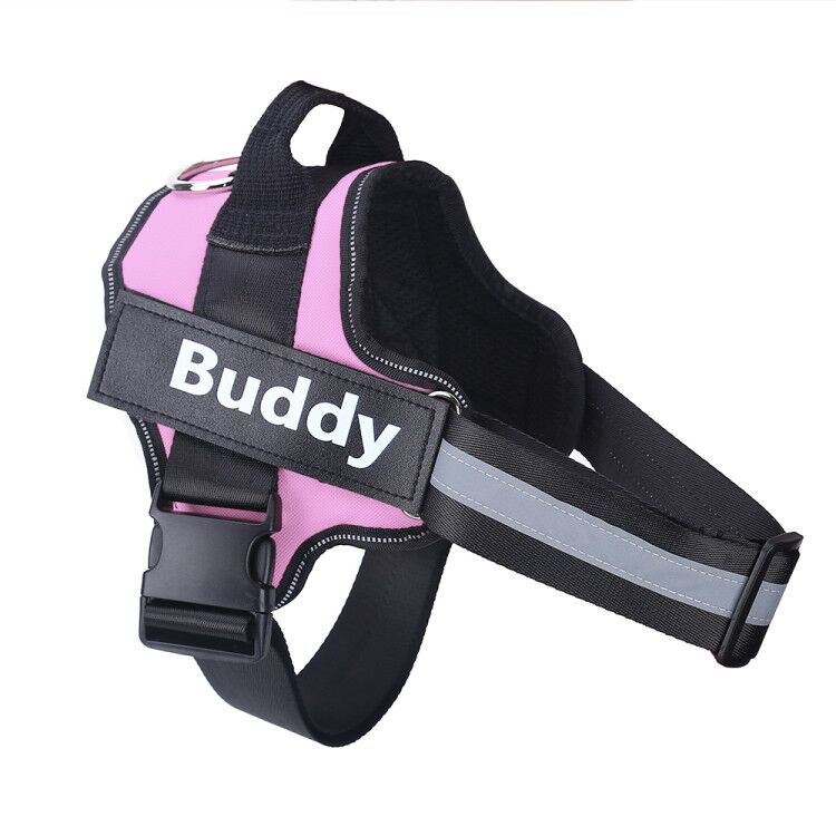 SafeWalk™ – Bezpečný postroj pro psy