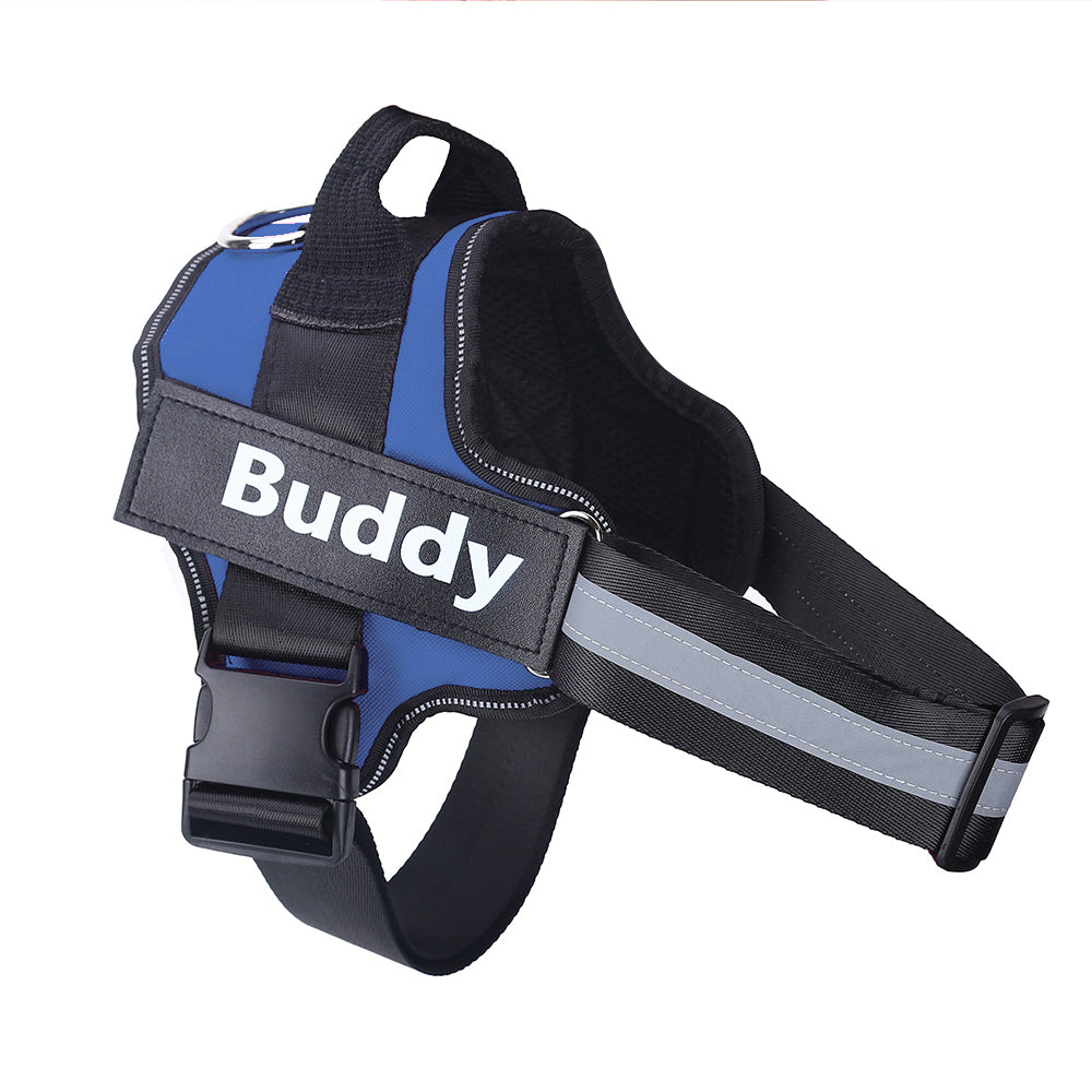 SafeWalk™ – Bezpečný postroj pro psy