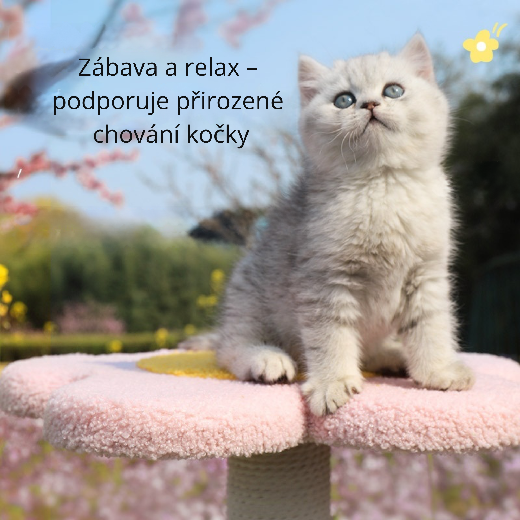 BloomSisal™ – stylová škrabací deska pro spokojené kočky