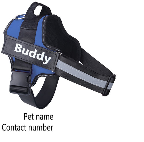SafeWalk™ – Bezpečný postroj pro psy