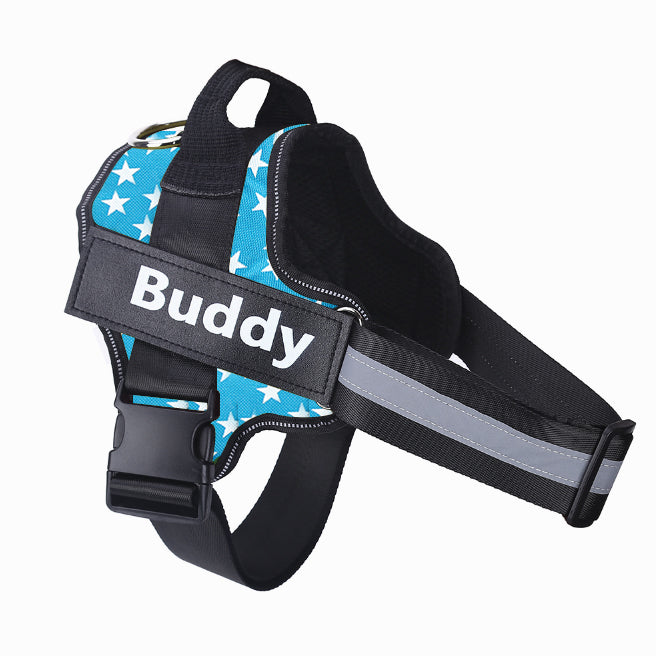 SafeWalk™ – Bezpečný postroj pro psy
