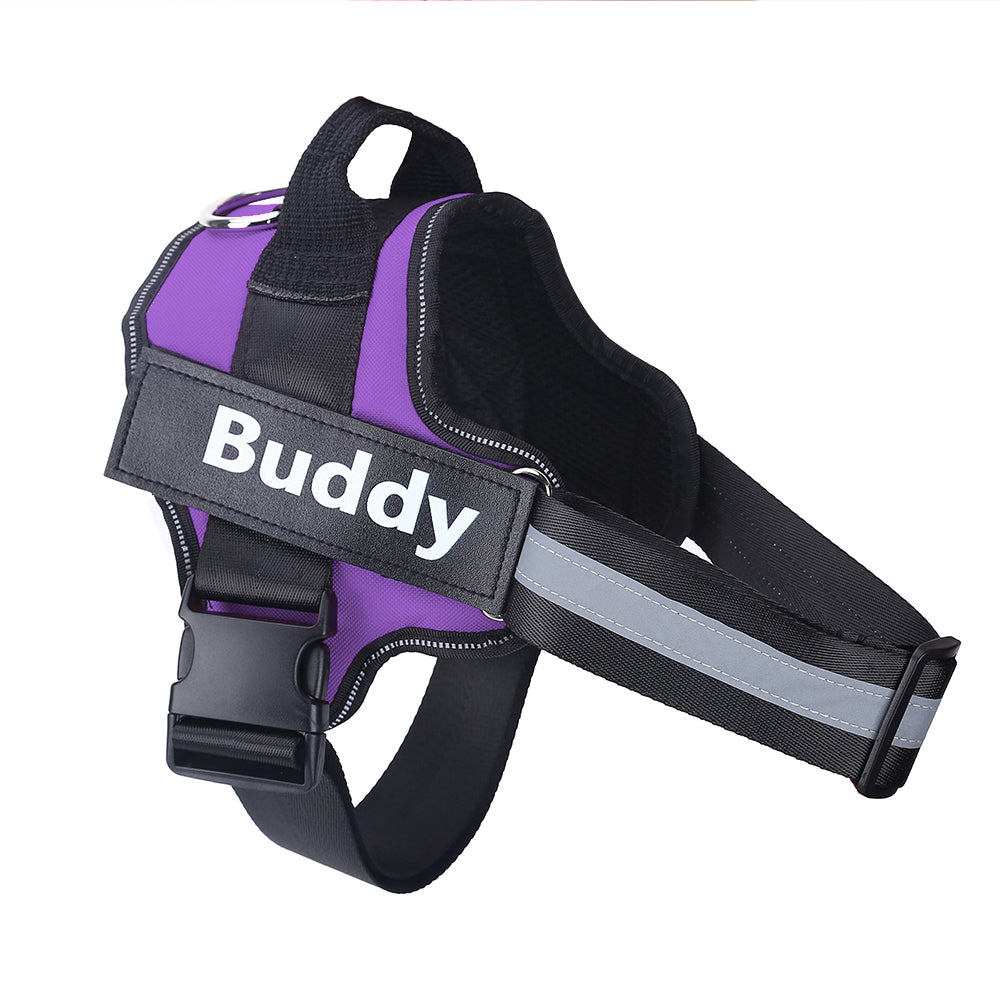SafeWalk™ – Bezpečný postroj pro psy