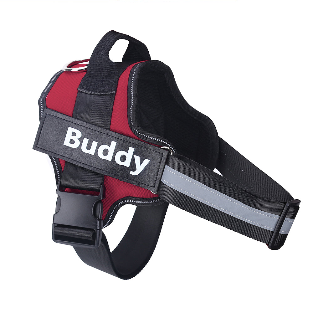 SafeWalk™ – Bezpečný postroj pro psy