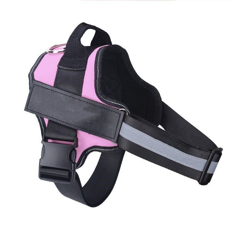 SafeWalk™ – Bezpečný postroj pro psy